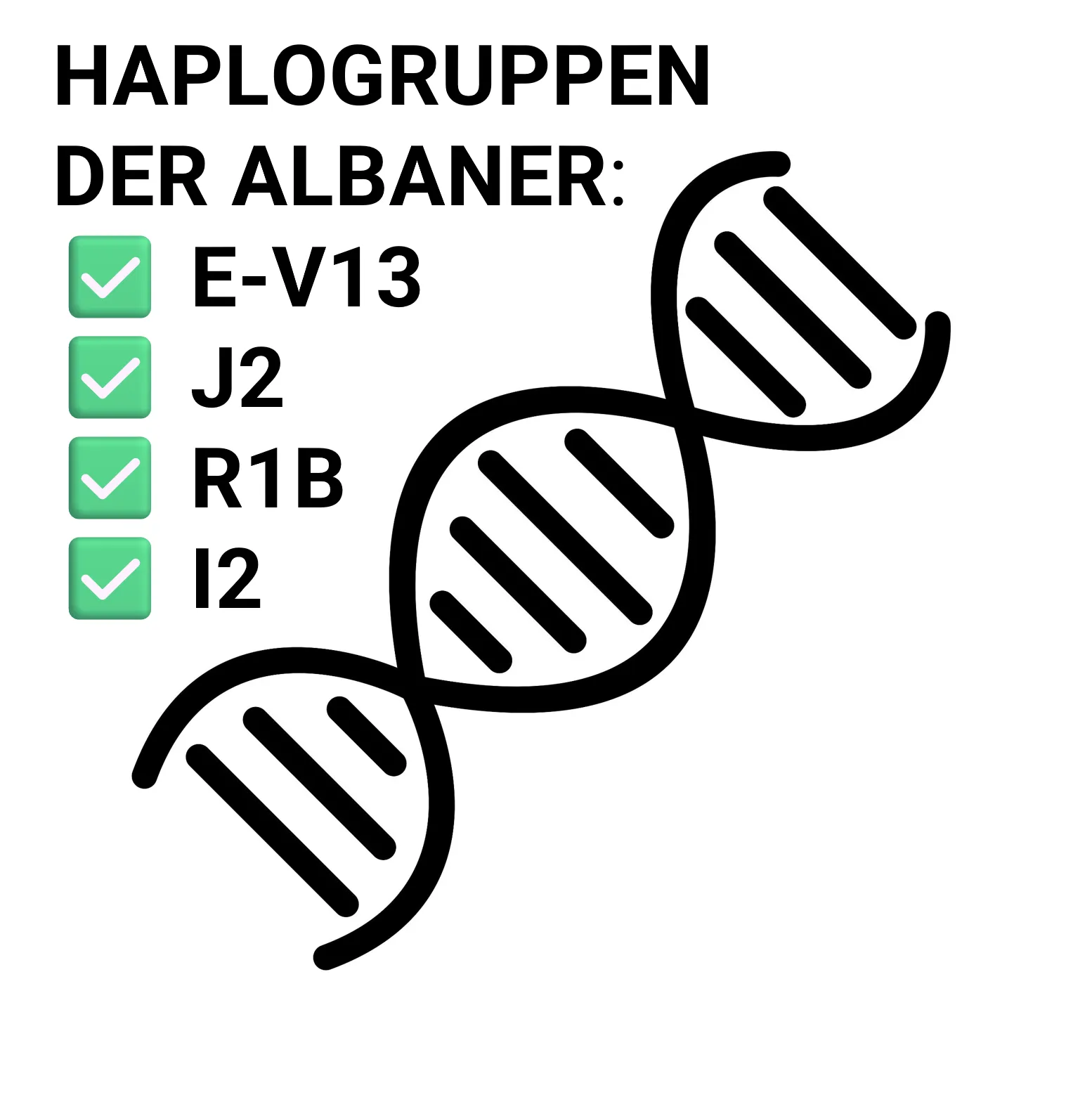 Cover: Haplogruppen – Albanische DNA und Herkunft